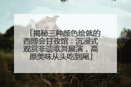 揭秘三种颜色绘就的西博会甘孜馆：沉浸式观赏非遗歌舞展演，高原美味从头吃到尾