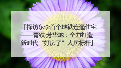 探访东李首个地铁连通住宅——青铁·芳华地：全力打造新时代“好房子”人居标杆