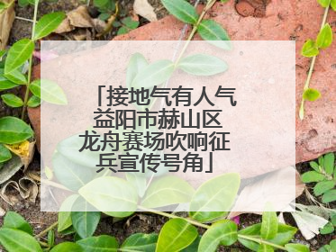 接地气有人气 益阳市赫山区龙舟赛场吹响征兵宣传号角