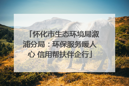 怀化市生态环境局溆浦分局：环保服务暖人心 信用帮扶伴企行
