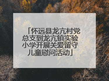 怀远县龙亢村党总支到龙亢镇实验小学开展关爱留守儿童慰问活动