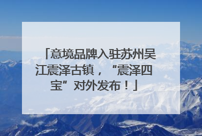 意境品牌入驻苏州吴江震泽古镇，“震泽四宝”对外发布！