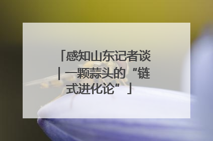 感知山东记者谈｜一颗蒜头的“链式进化论”