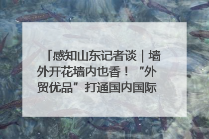 感知山东记者谈｜墙外开花墙内也香！“外贸优品”打通国内国际市场“旋转门”