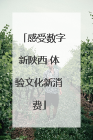 感受数字新陕西 体验文化新消费