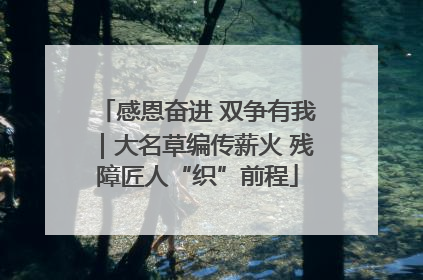 感恩奋进 双争有我｜大名草编传薪火 残障匠人“织”前程