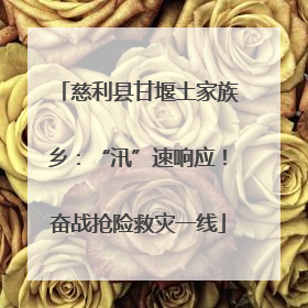慈利县甘堰土家族乡：“汛”速响应！奋战抢险救灾一线