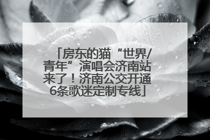 房东的猫“世界/青年”演唱会济南站来了！济南公交开通6条歌迷定制专线