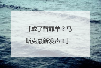 成了替罪羊？马斯克最新发声！