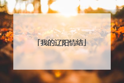 我的辽阳情结