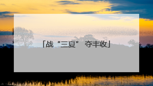 战“三夏” 夺丰收