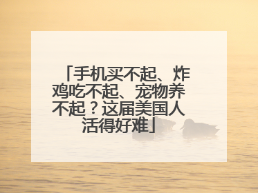 手机买不起、炸鸡吃不起、宠物养不起？这届美国人活得好难