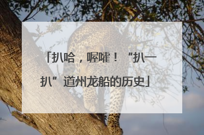 扒哈，喔嚯！“扒一扒”道州龙船的历史
