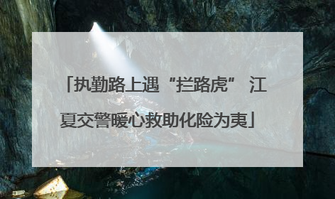 执勤路上遇“拦路虎” 江夏交警暖心救助化险为夷