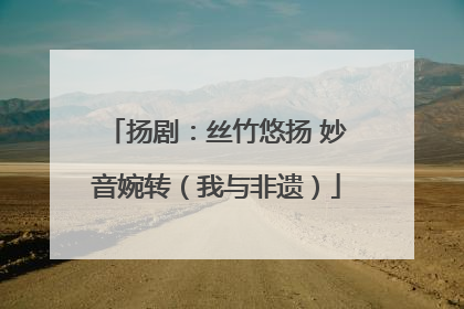 扬剧：丝竹悠扬 妙音婉转（我与非遗）