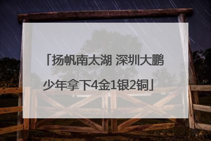 扬帆南太湖 深圳大鹏少年拿下4金1银2铜