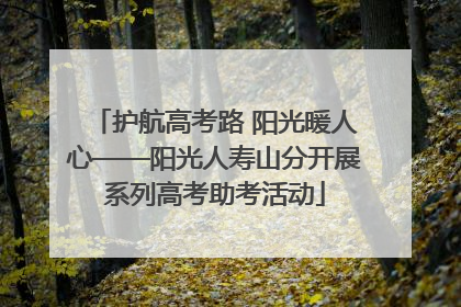 护航高考路 阳光暖人心——阳光人寿山分开展系列高考助考活动