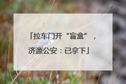 拉车门开“盲盒”，济源公安：已拿下