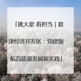 挑大梁 看担当｜夏津经济开发区：党建领航高质量发展新实践