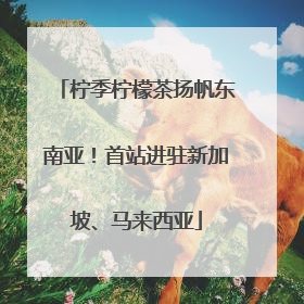 柠季柠檬茶扬帆东南亚！首站进驻新加坡、马来西亚
