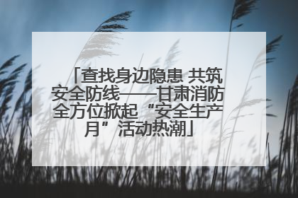 查找身边隐患 共筑安全防线——甘肃消防全方位掀起“安全生产月”活动热潮