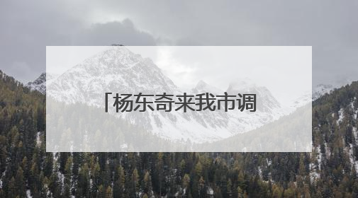 杨东奇来我市调研 杨国强陈必昌田和友分别参加