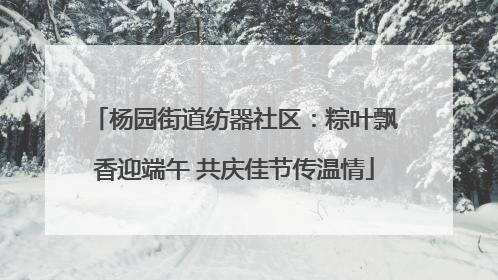 杨园街道纺器社区：粽叶飘香迎端午 共庆佳节传温情