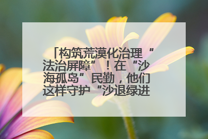 构筑荒漠化治理“法治屏障”！在“沙海孤岛”民勤，他们这样守护“沙退绿进”的生态奇迹