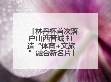 林丹杯首次落户山西晋城 打造“体育+文旅”融合新名片