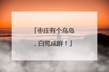枣庄有个鸟岛，白鹭成群！