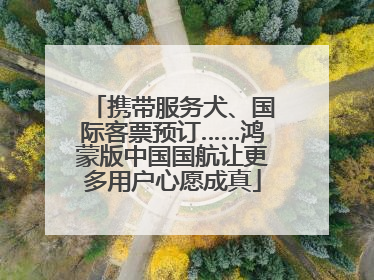 携带服务犬、国际客票预订……鸿蒙版中国国航让更多用户心愿成真
