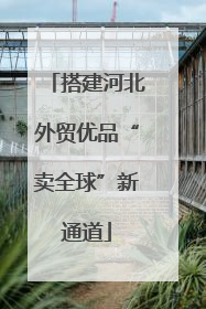 搭建河北外贸优品“卖全球”新通道