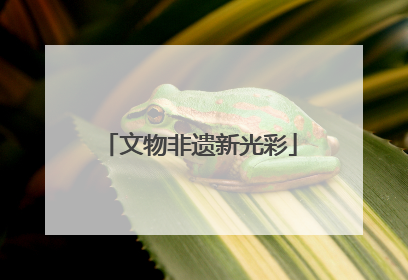 文物非遗新光彩