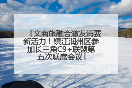 文商旅融合激发消费新活力！镇江润州区参加长三角C9+联盟第五次联席会议