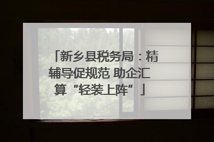 新乡县税务局：精辅导促规范 助企汇算“轻装上阵”