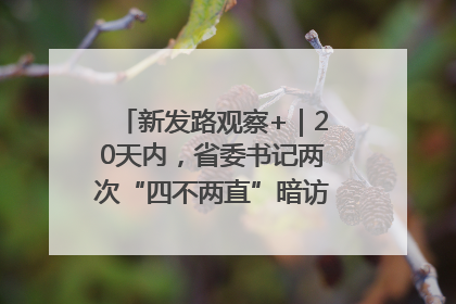 新发路观察+｜20天内，省委书记两次“四不两直”暗访，有何深意？