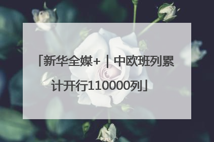 新华全媒+｜中欧班列累计开行110000列