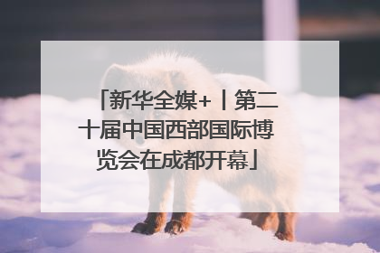 新华全媒+丨第二十届中国西部国际博览会在成都开幕