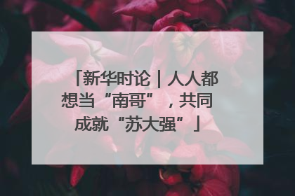 新华时论｜人人都想当“南哥”，共同成就“苏大强”