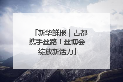新华鲜报｜古都携手丝路！丝博会绽放新活力