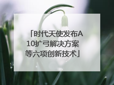 时代天使发布A10扩弓解决方案等六项创新技术