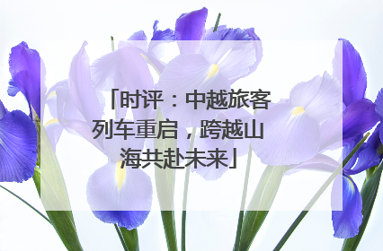 时评：中越旅客列车重启，跨越山海共赴未来