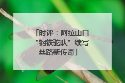 时评：阿拉山口“钢铁驼队”续写丝路新传奇
