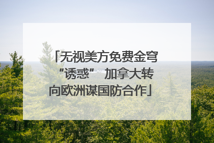 无视美方免费金穹“诱惑” 加拿大转向欧洲谋国防合作