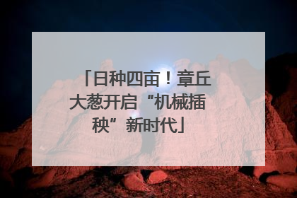 日种四亩！章丘大葱开启“机械插秧”新时代