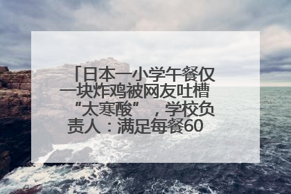 日本一小学午餐仅一块炸鸡被网友吐槽“太寒酸”，学校负责人：满足每餐600千卡的标准