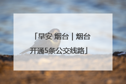 早安 烟台｜烟台开通5条公交线路