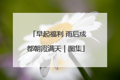 早起福利 雨后成都朝霞满天｜图集
