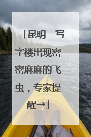 昆明一写字楼出现密密麻麻的飞虫，专家提醒→