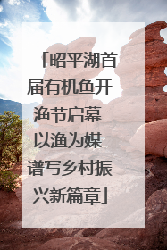 昭平湖首届有机鱼开渔节启幕 以渔为媒 谱写乡村振兴新篇章